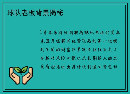 球队老板背景揭秘