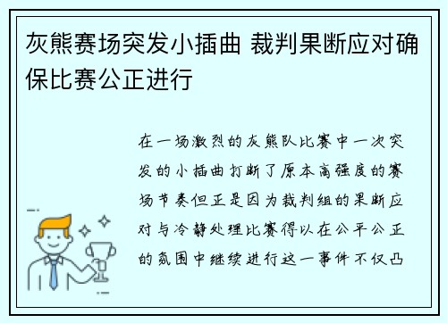灰熊赛场突发小插曲 裁判果断应对确保比赛公正进行